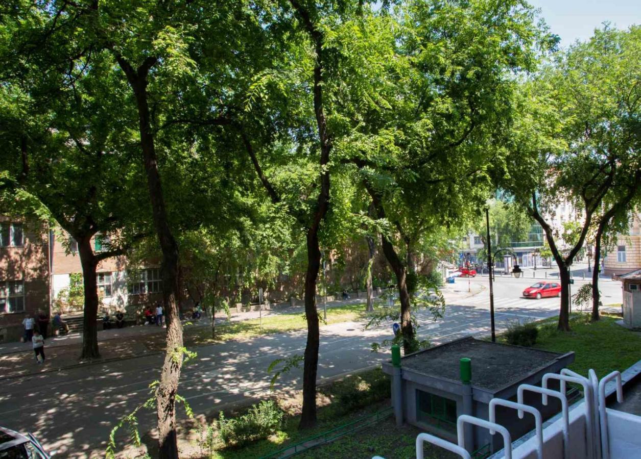 Apartman Petres Zombor Kültér fotó